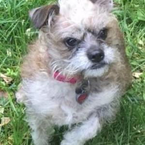 Meet your Posher, Tammy